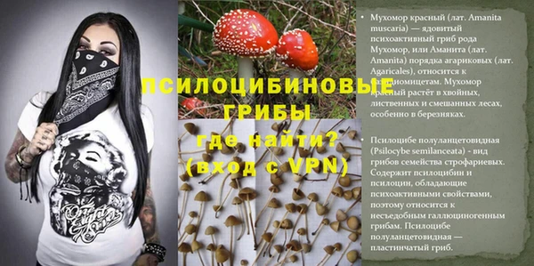 марки lsd Гусиноозёрск