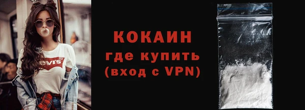 мдпв Гусь-Хрустальный