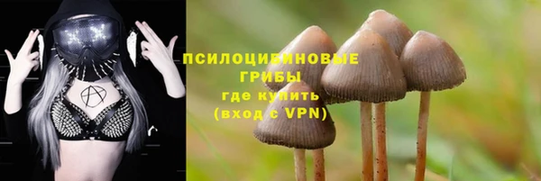марки lsd Гусиноозёрск