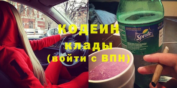 мдпв Гусь-Хрустальный