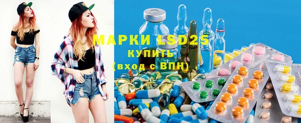 мдпв Гусь-Хрустальный
